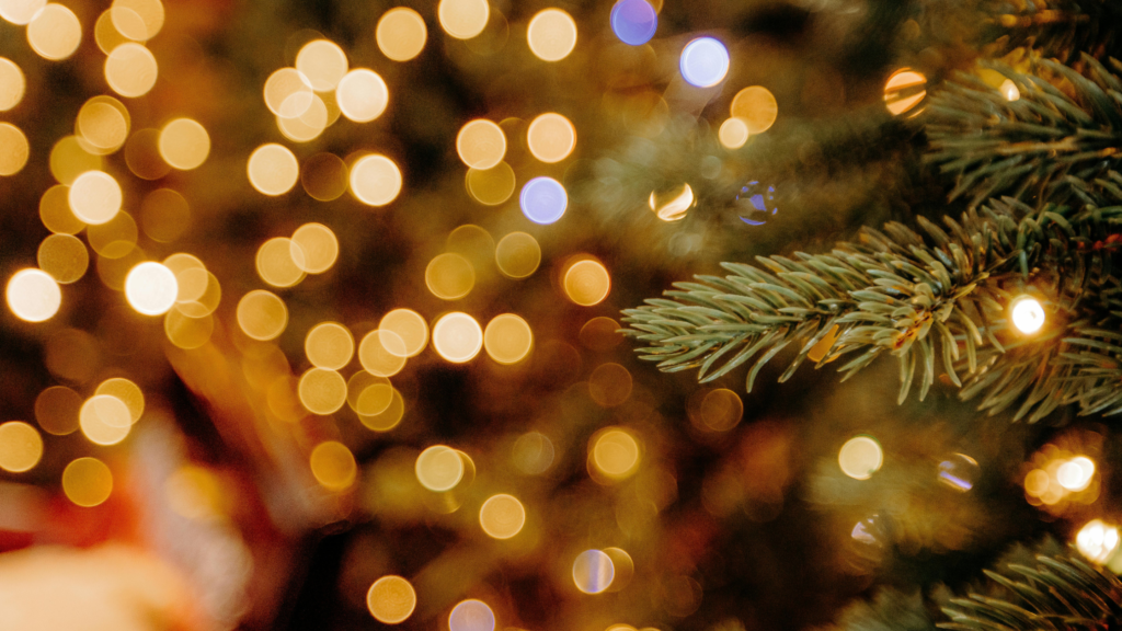 Best Christmas Lunch in Inverness